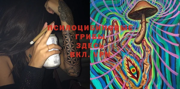 тгк Алзамай