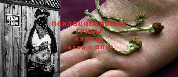 тгк Алзамай