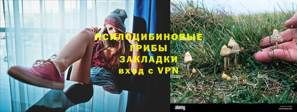 трава Алексеевка