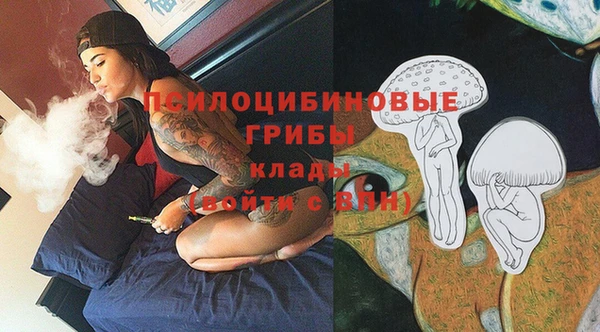 гидропоника Михайлов