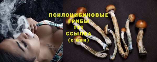 не бодяженный Алексин