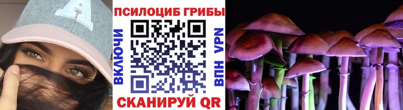 Псилоцибиновые грибы прущие грибы OMG tor Трёхгорный